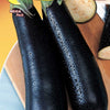 Eggplant Lunga Palermitana Seeds - supplier photo