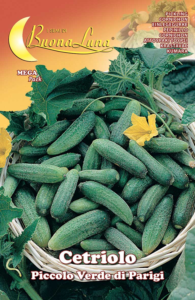 Cucumber Piccolo Verde di Parigi Seeds - supplier photo