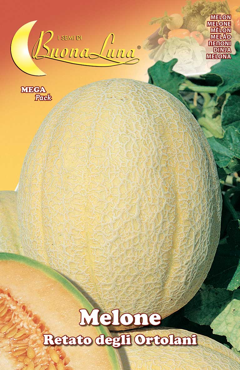 Melon Retato degli Ortolani Seeds - supplier photo