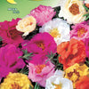 Moss Rose Portulaca Double Mix Seeds - supplier photo