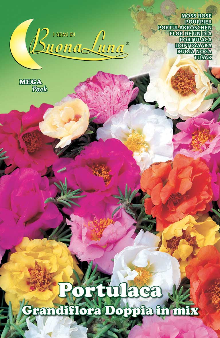 Moss Rose Portulaca Double Mix Seeds - supplier photo