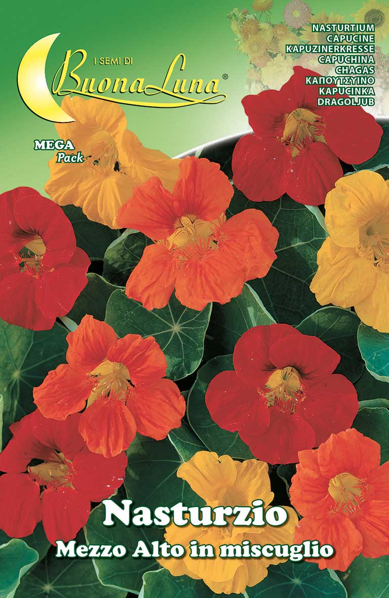 Nasturtium Medium Height Mix Seeds - supplier photo