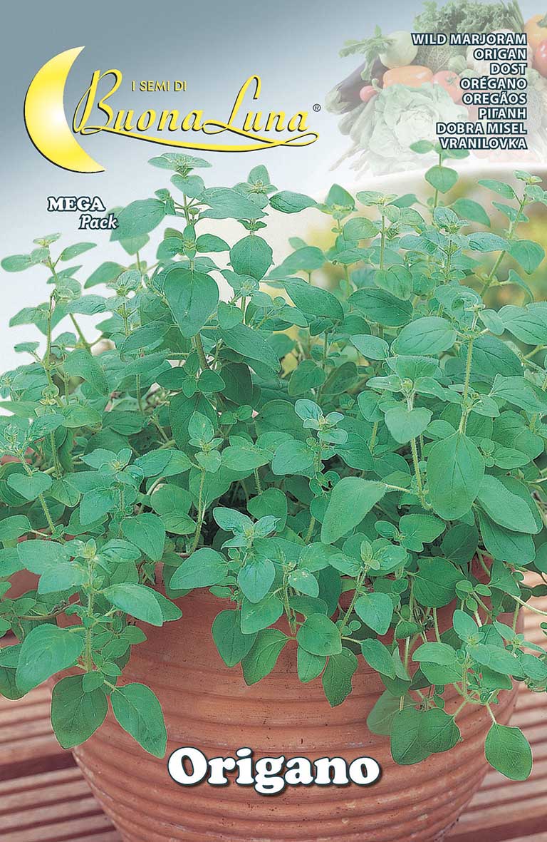 Oregano Wild Thyme Seeds - supplier photo