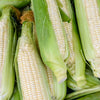 Corn Stowells Evergreen - supplier photo