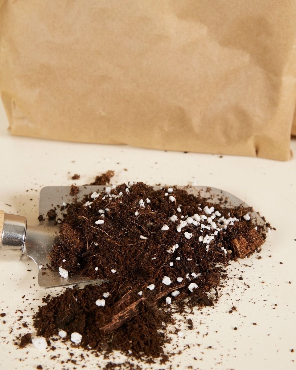 NABAT Succulents potting mix kit (3 liters) تربة نباتات داخلية