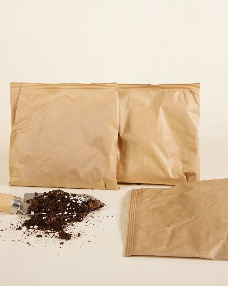 NABAT Succulents potting mix kit (3 liters) تربة نباتات داخلية