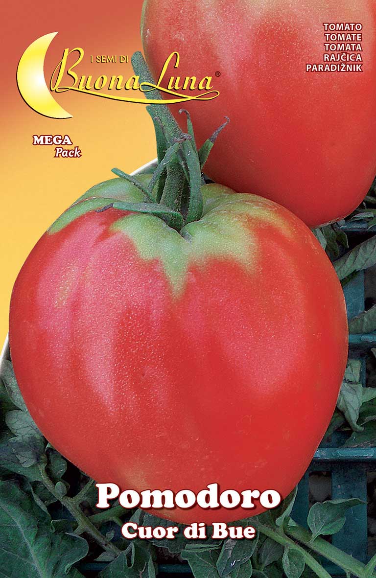 Tomato Cuore di Bue Seeds - supplier photo