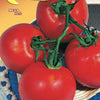 Tomato Campbell 33 Seeds - supplier photo