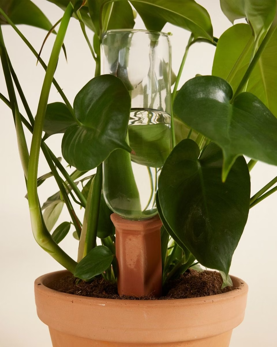 وتد الري الفخاري