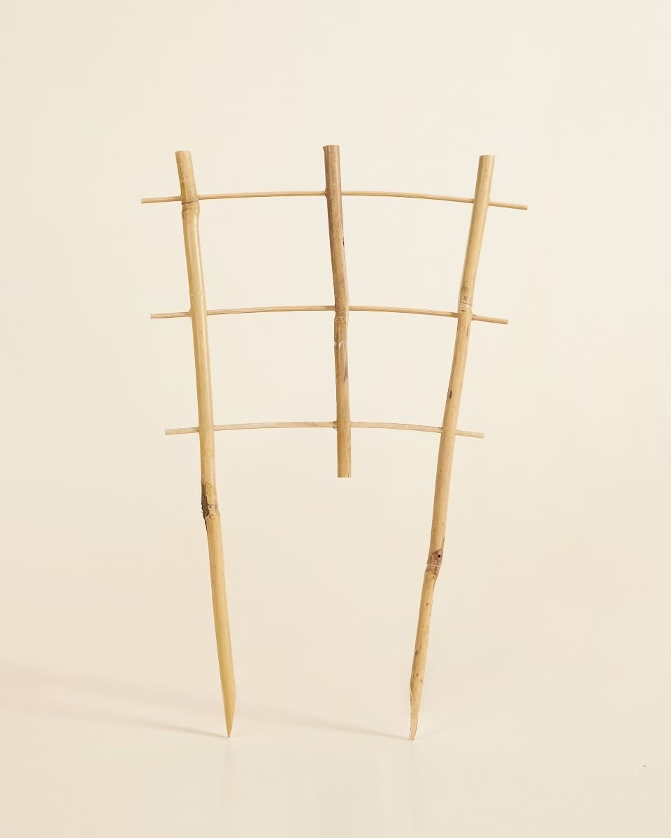 Wooden Rack