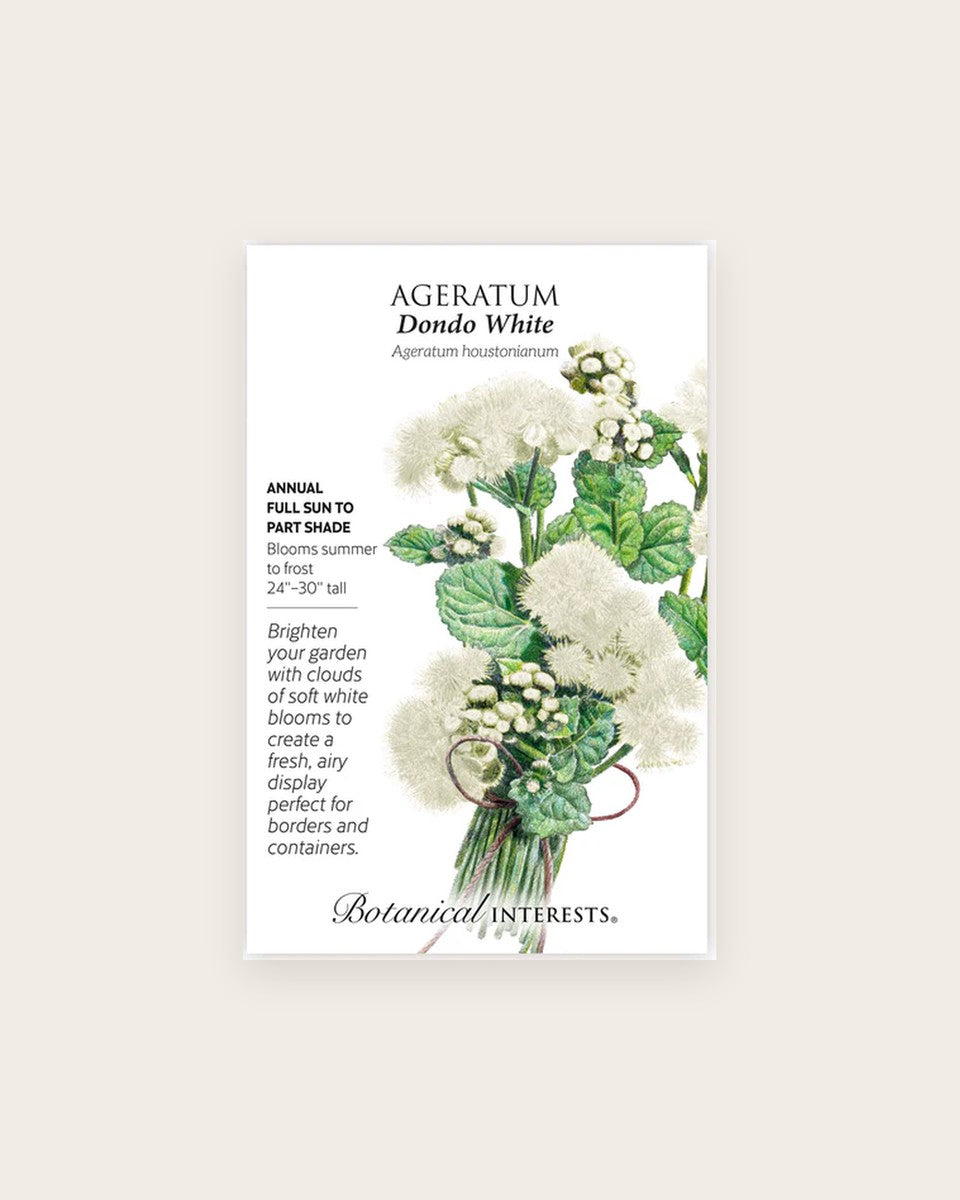 Ageratum, Dondo White
