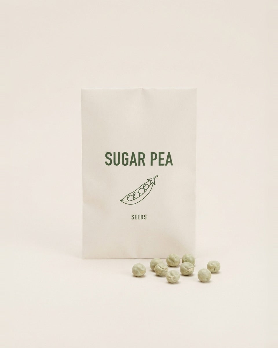 Pea Seeds Oregon Sugar Pod بازلاء أوريغون السكرية