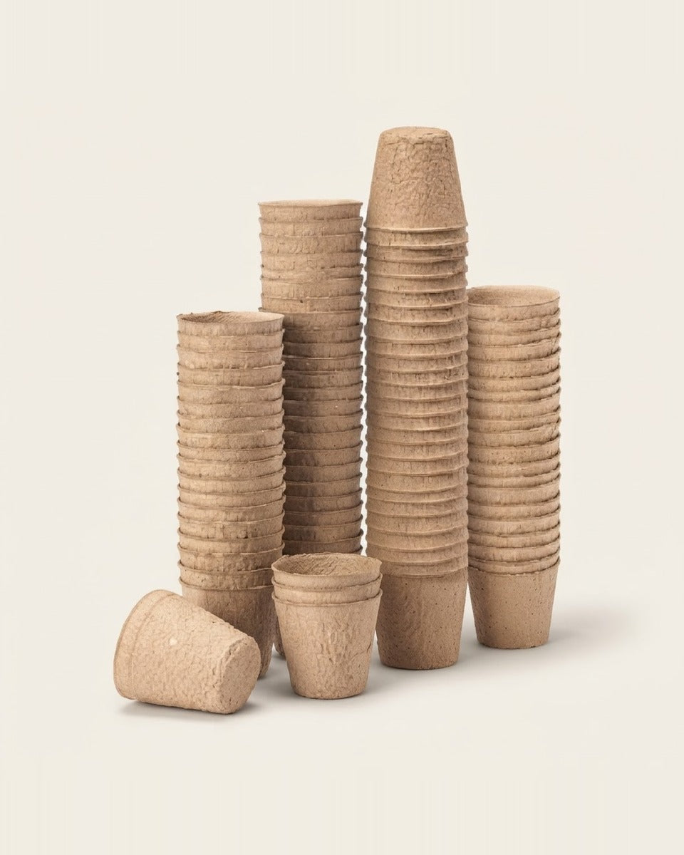 Biodegradable Paper Pots 6 cm 24 Pieces أصيص ورق صغير 6 سم 24 حبة قابل للتحلل