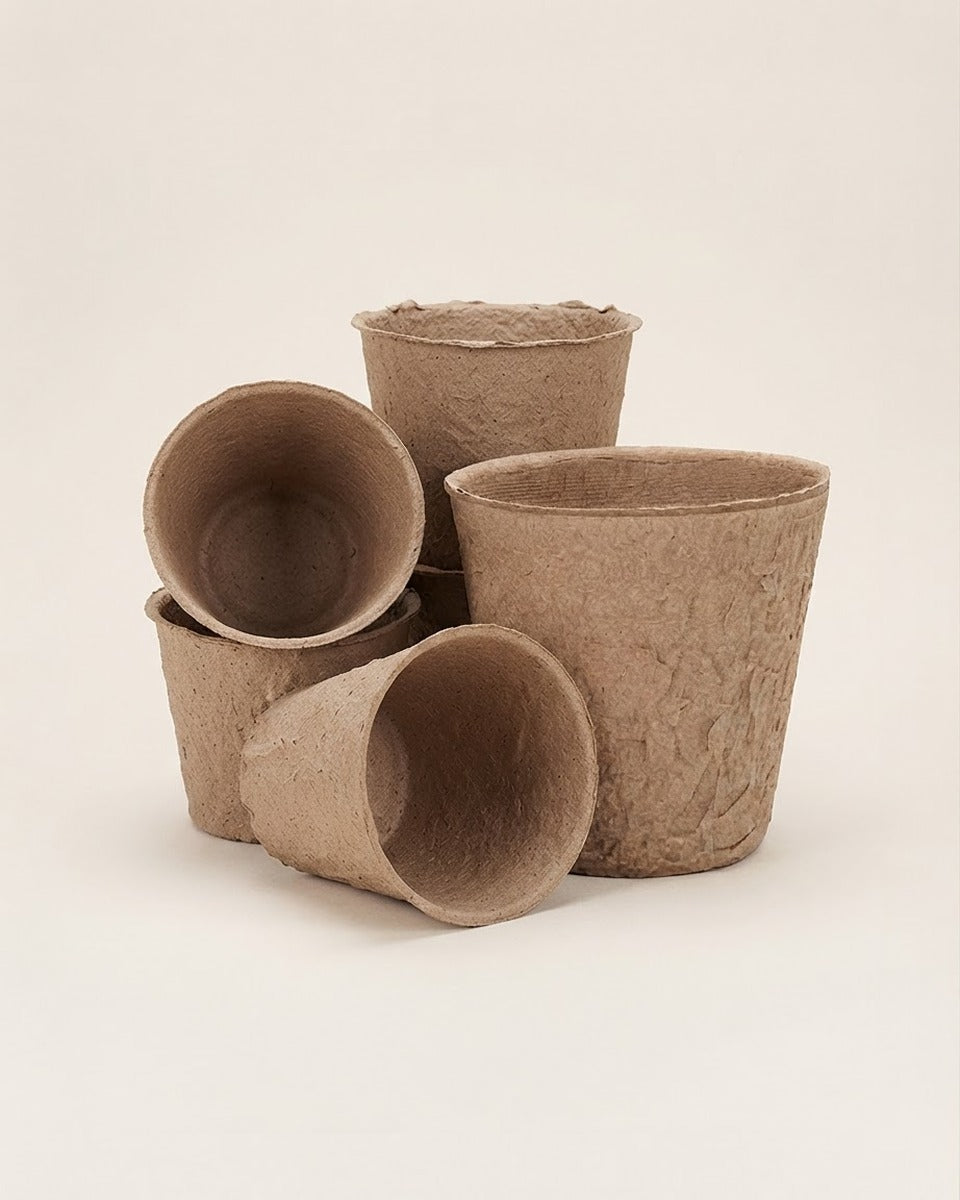 Biodegradable Paper Pots 8 cm 24 Pieces أصيص ورق صغير 8 سم 24 حبة قابل للتحلل