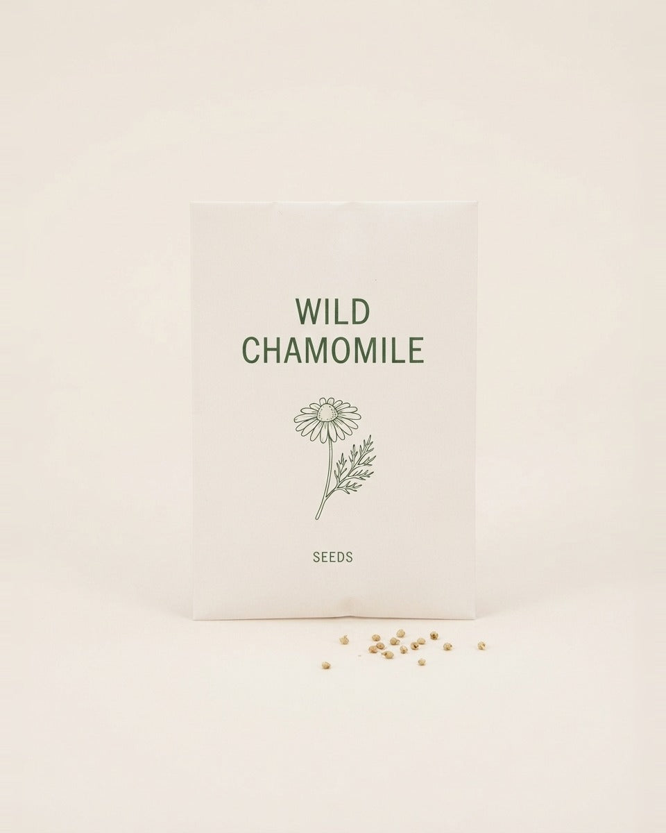 Wild Chamomile Chrysanthemum Seeds 500+ Seeds بذور الاقحوان البري +500 بذرة