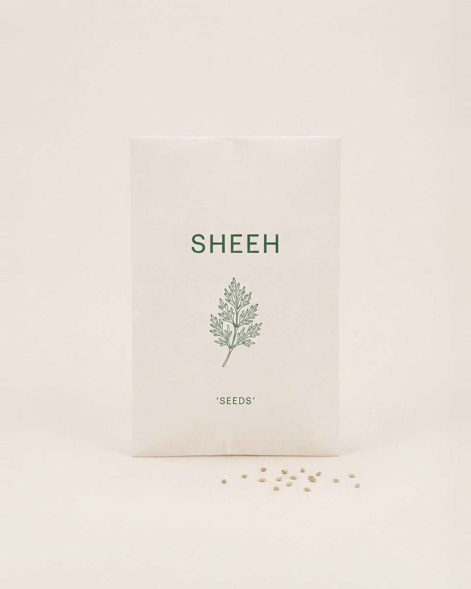 Wild Artemisia Sheeh Seeds 100+ Seeds بذور الشيح البري +100 بذرة