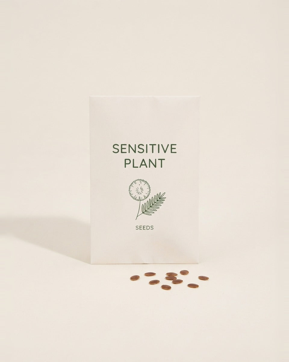 Sensitive Plant Mimosa pudica Seeds 15 Seeds المستحية / الخجولة 15 بذرة