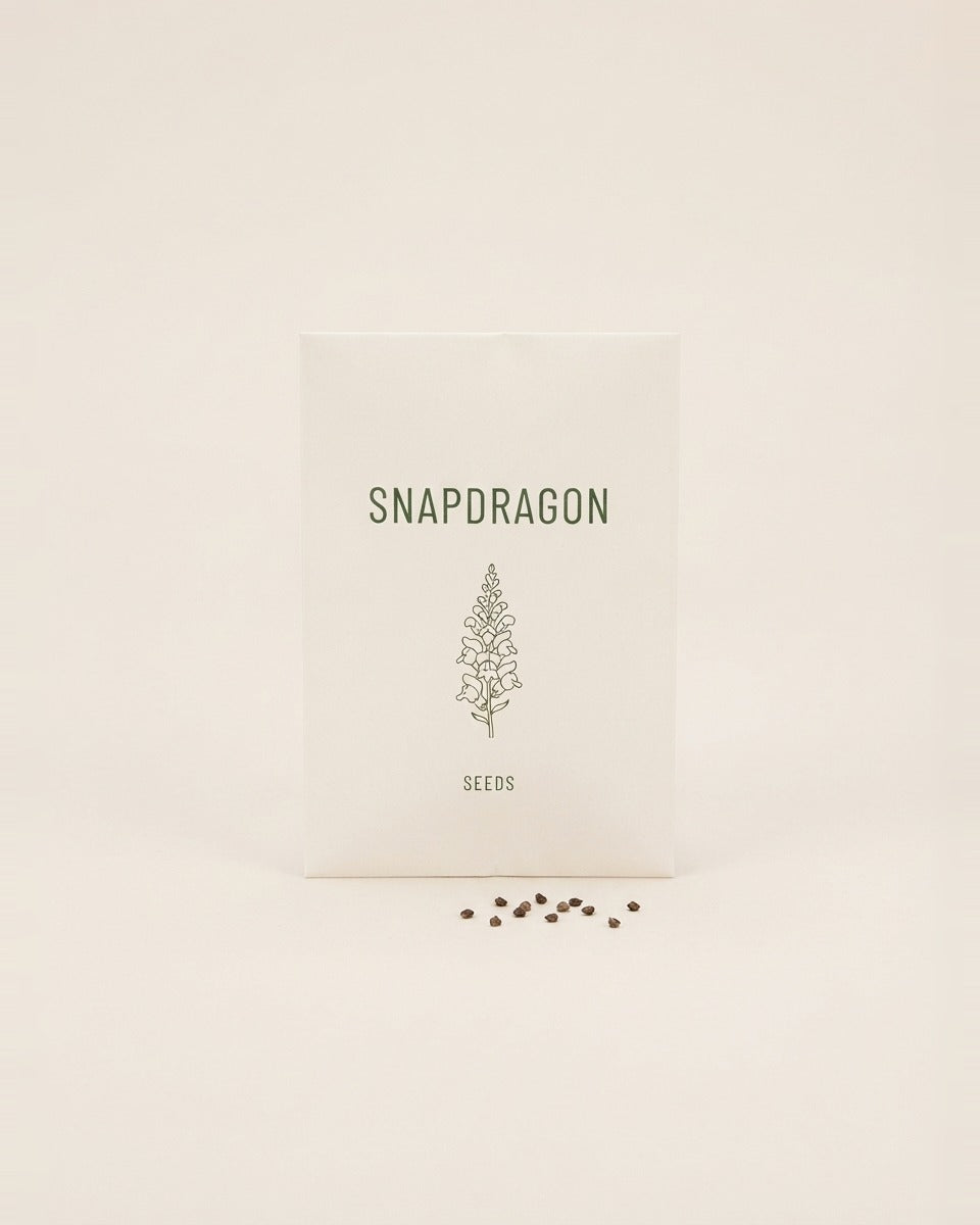 Snapdragon Seeds 100+ Seeds زهرة فم السمكة +100 بذرة