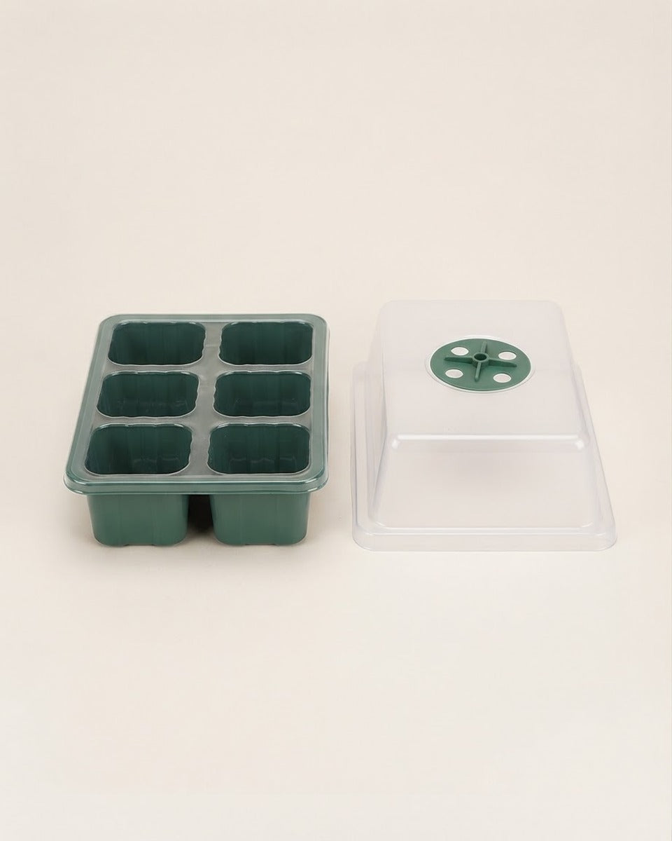 Seedling Tray 6 Cells with Vented Lid صينية تشتيل 6 عيون مع غطاء تهوية