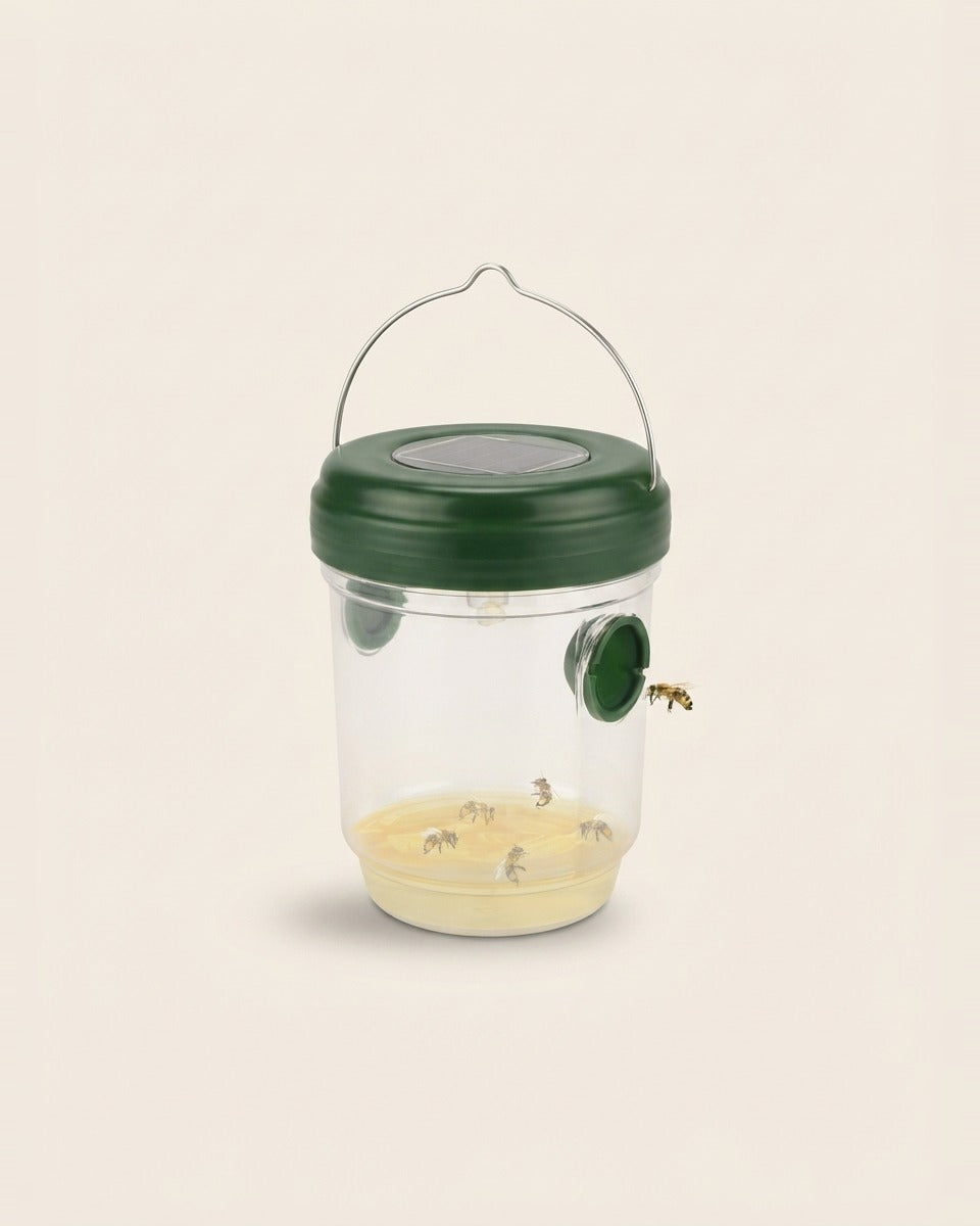 Small Insect Trap مصيدة الحشرات الصغيرة