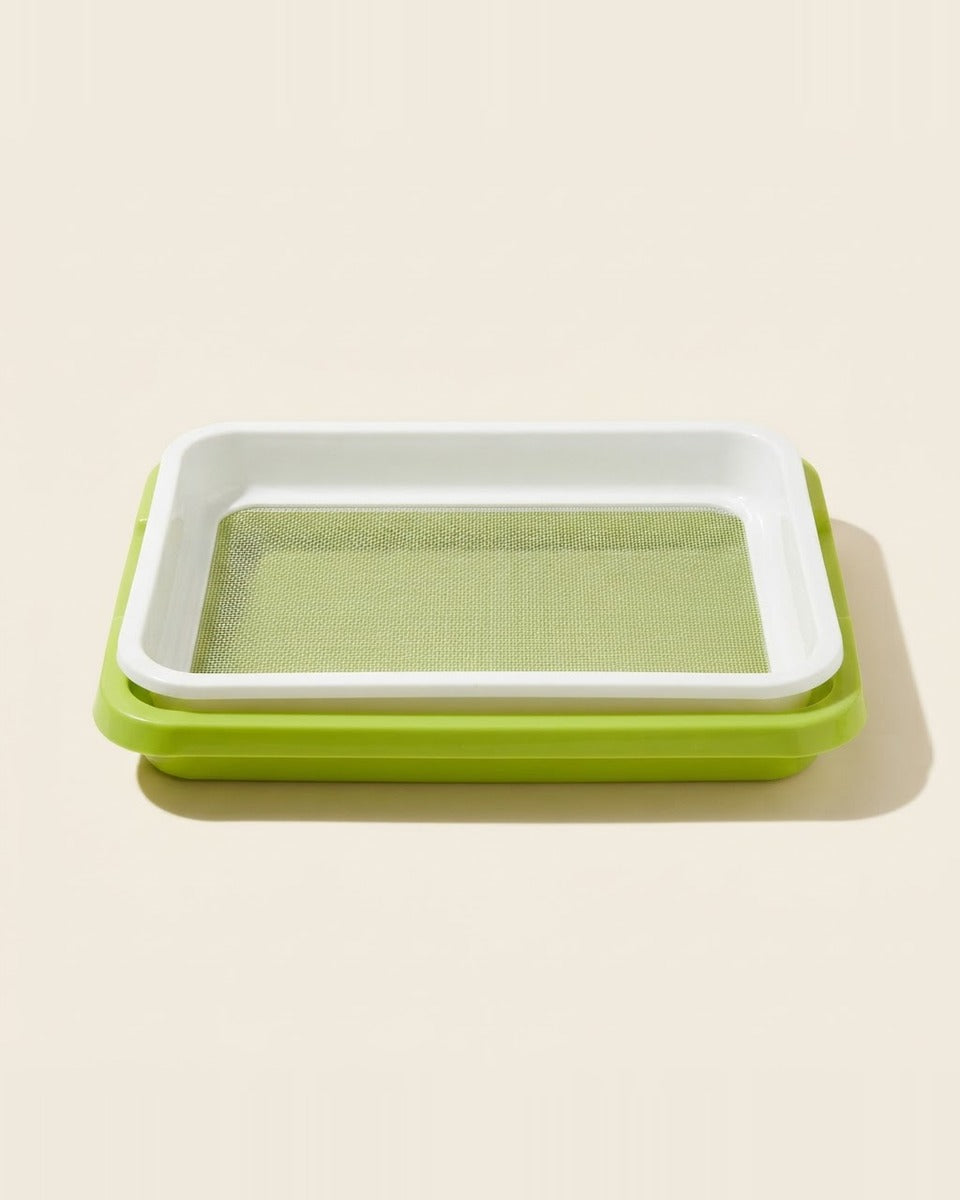 Germination Basket سلة استنبات