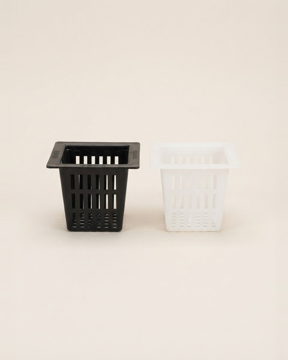 Square Hydroponic Net Cups Black and White كاس زراعة مائية مربع أسود +أبيض