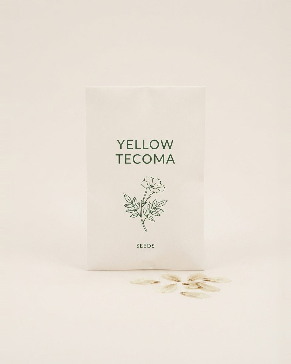 Yellow Tecoma Tree Seeds 10 Seeds شجرة تيكوما الصفراء (10) بذور