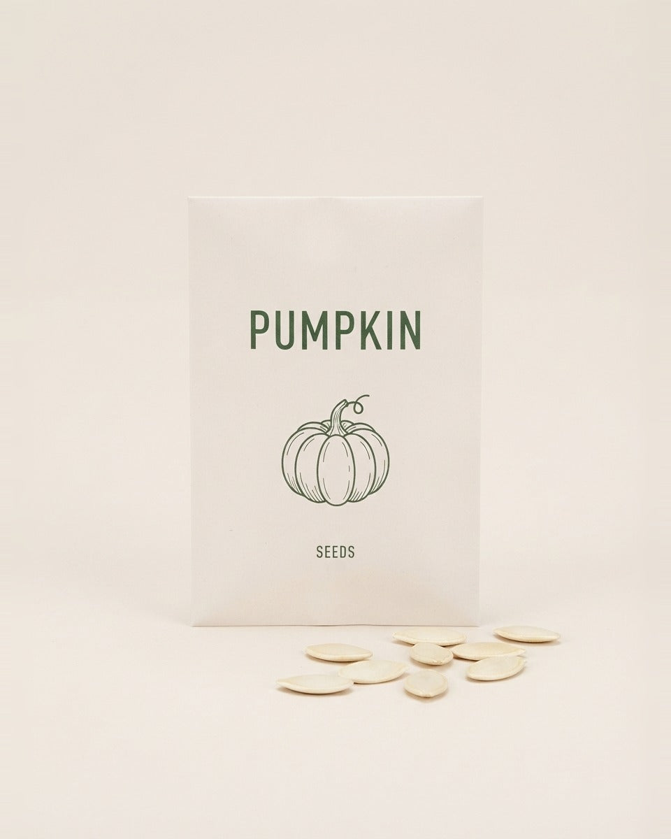 Pumpkin Seeds Turkish Large 10 g قرع كبير تركي 10 غرام