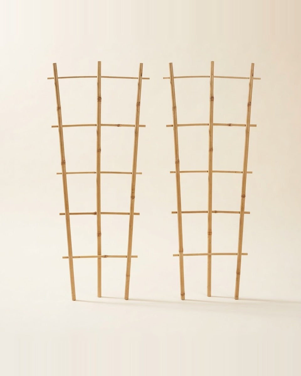 Bamboo Plant Stand 2 Pieces ستاند بامبو (عدد 2 حبة)