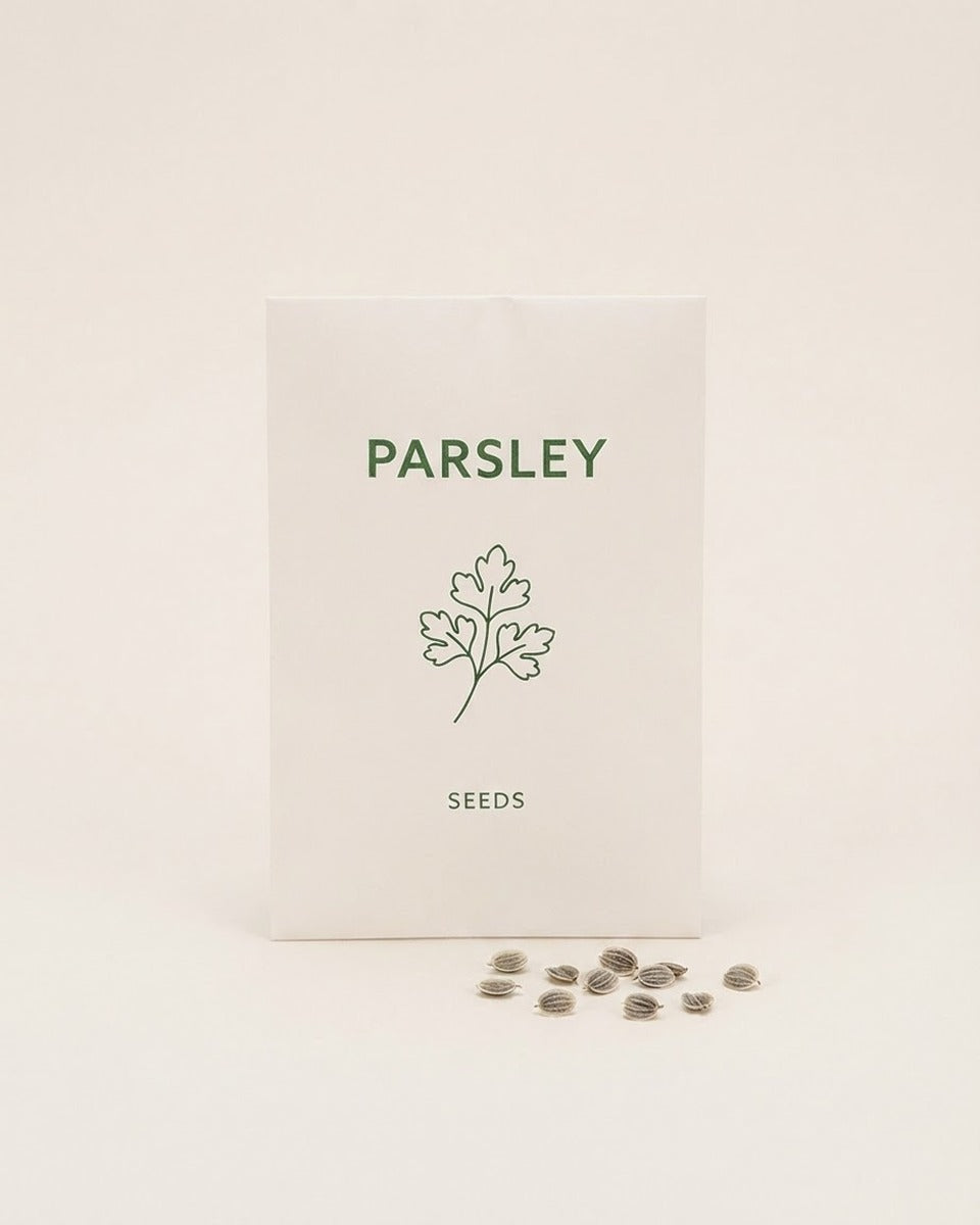 Parsley Seeds Turkish 25 g بذور بقدونس تركي(25 غرام)