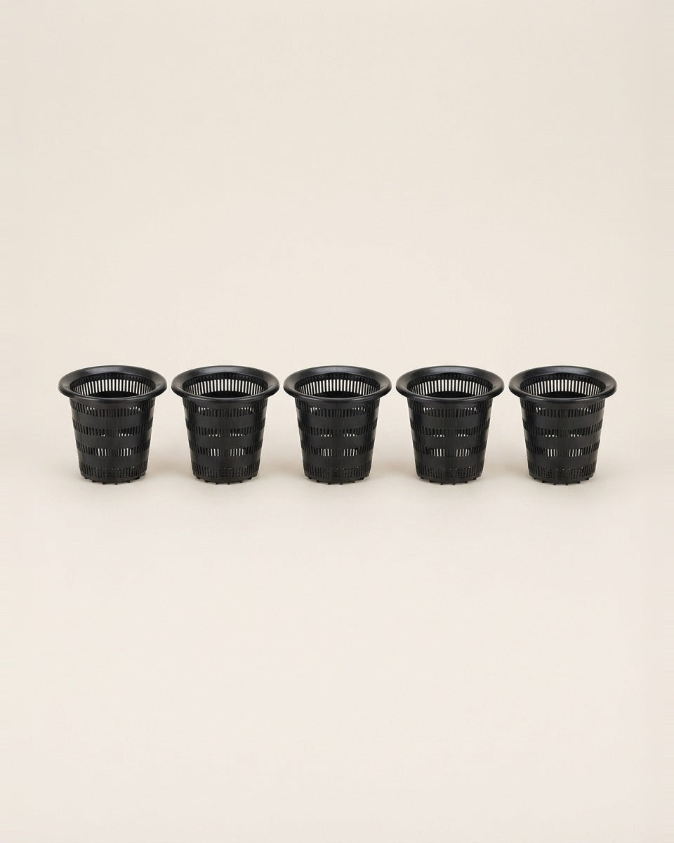 Hydroponic Net Cups Small 5.6 cm 5 Pieces كاس هايدروبونيك صغير قياس 5.6 (عدد 5)