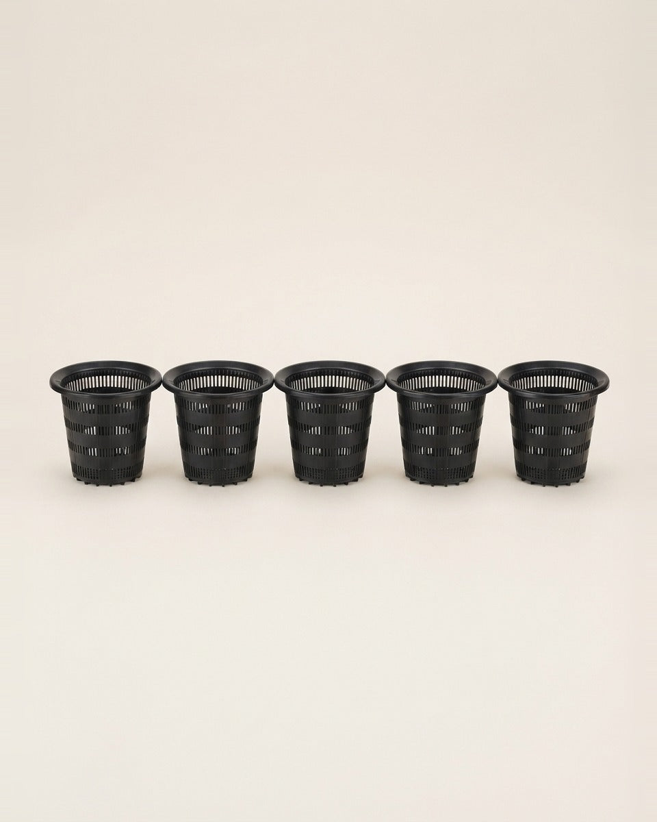 Hydroponic Net Cups Large 8 cm 5 Pieces كاس هايدروبونيك كبير قياس 8 سم (عدد 5)