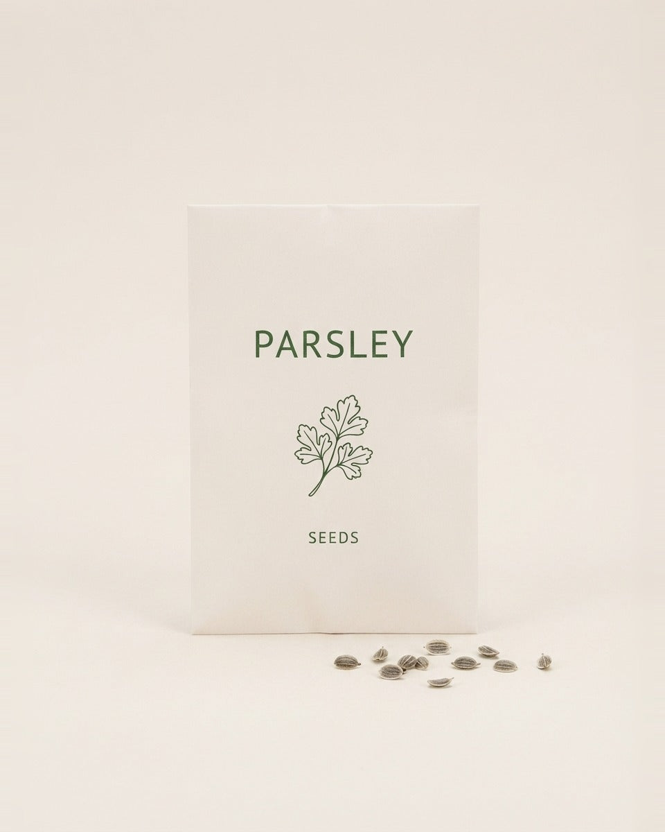 Parsley Seeds Turkish Boga بقدونس برج الثور تركي