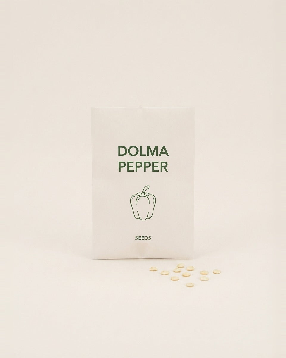 Sweet Pepper Seeds Turkish Dolma دولما فلفل بارد تركي