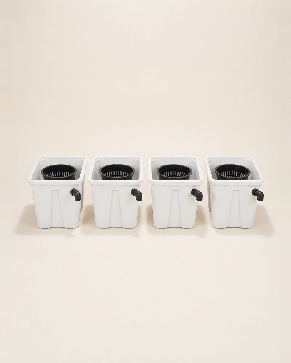 Dutch Bucket Hydroponic System 4 Buckets نظام زراعة مائية 4 دتش بوكت