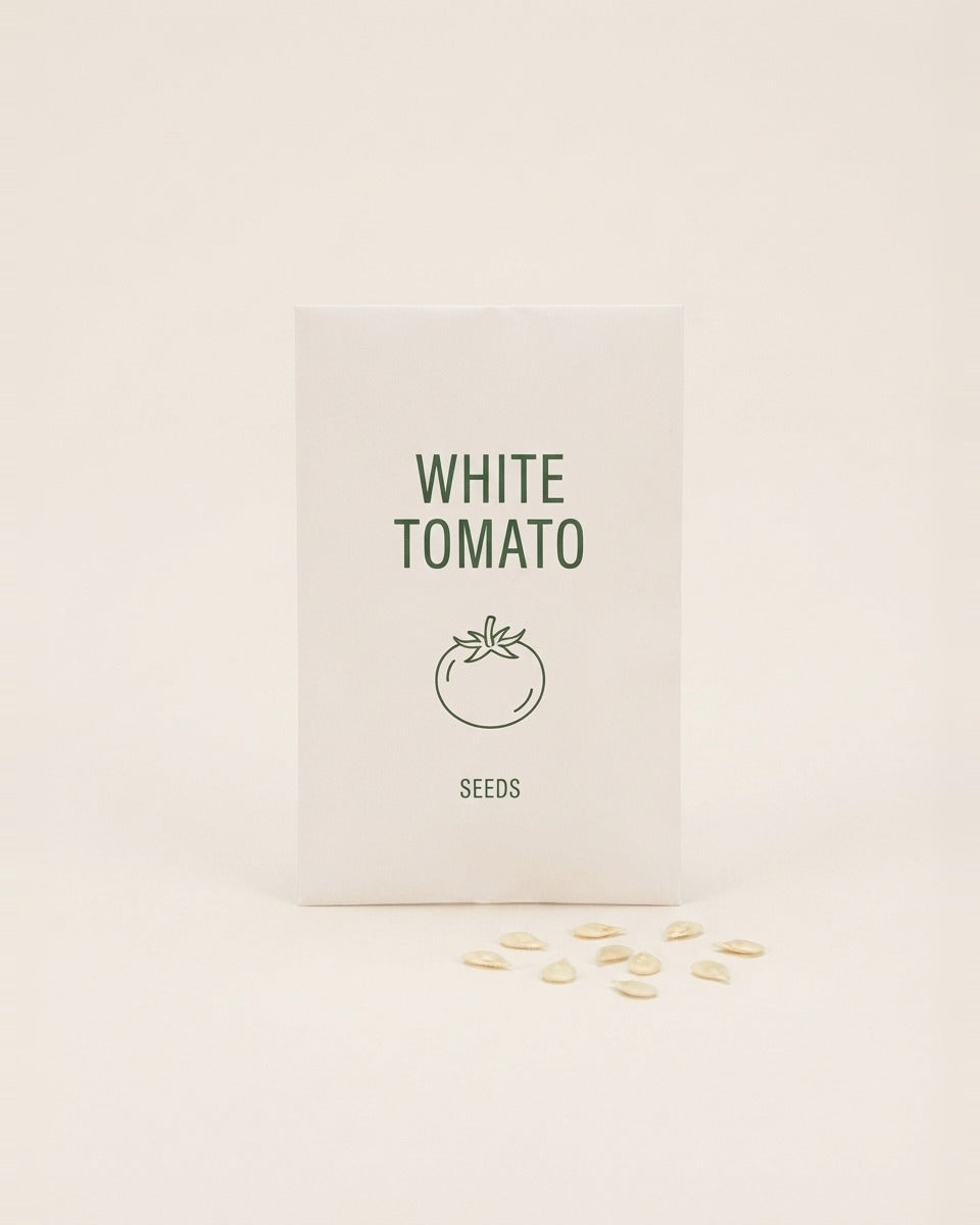 Tomato Seeds White طماطم ابيض