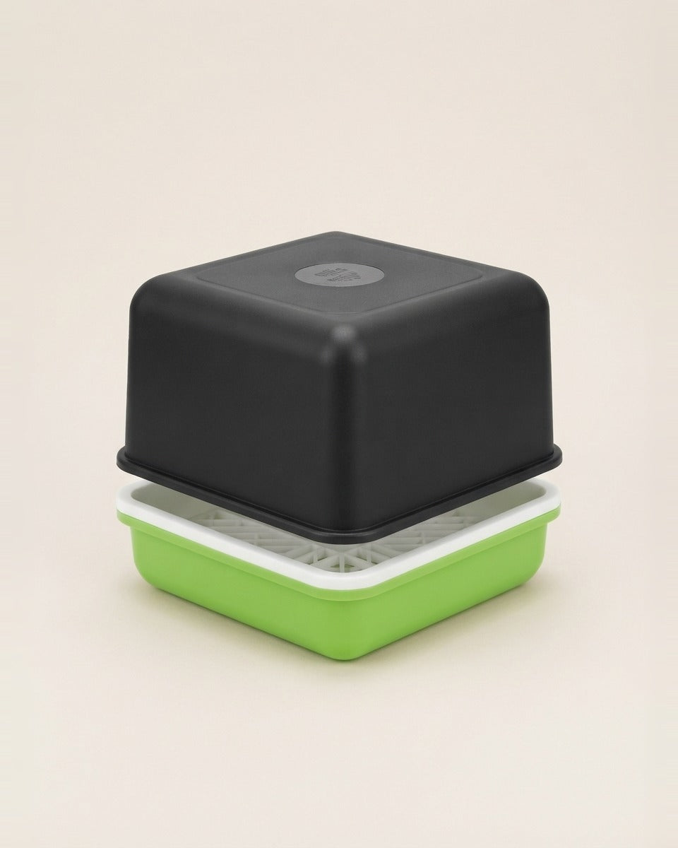 Square Germination Tray with Lid صينية استنبات مربعة مع غطاء