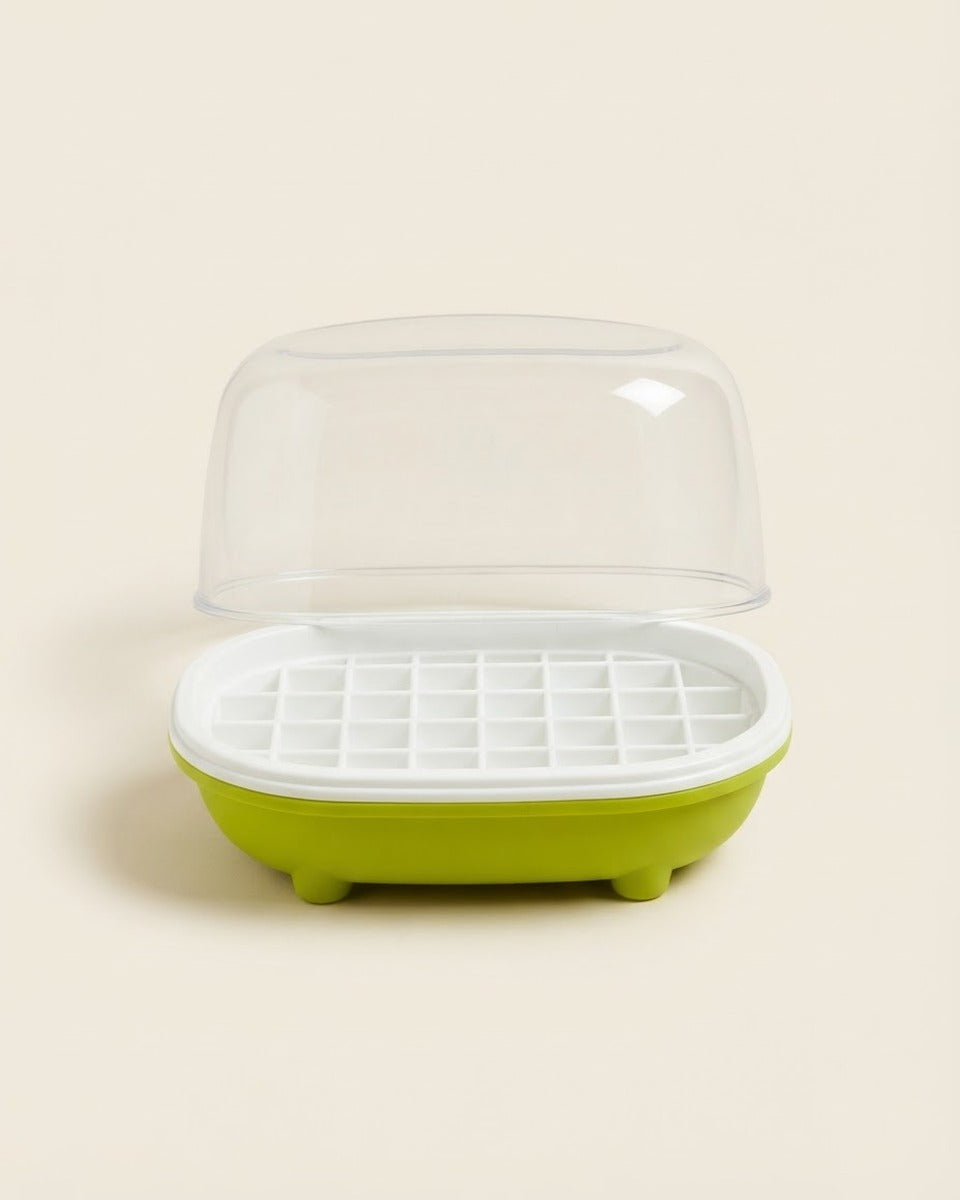 Oval Germination Tray with Lid صينية استنبات بيضاوية مع غطاء