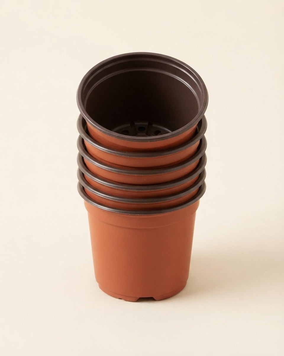 Lightweight Plastic Pots 20.5 cm 5 Pieces اصيص بلاستيك خفيف 20.5 سم (5 قطع)