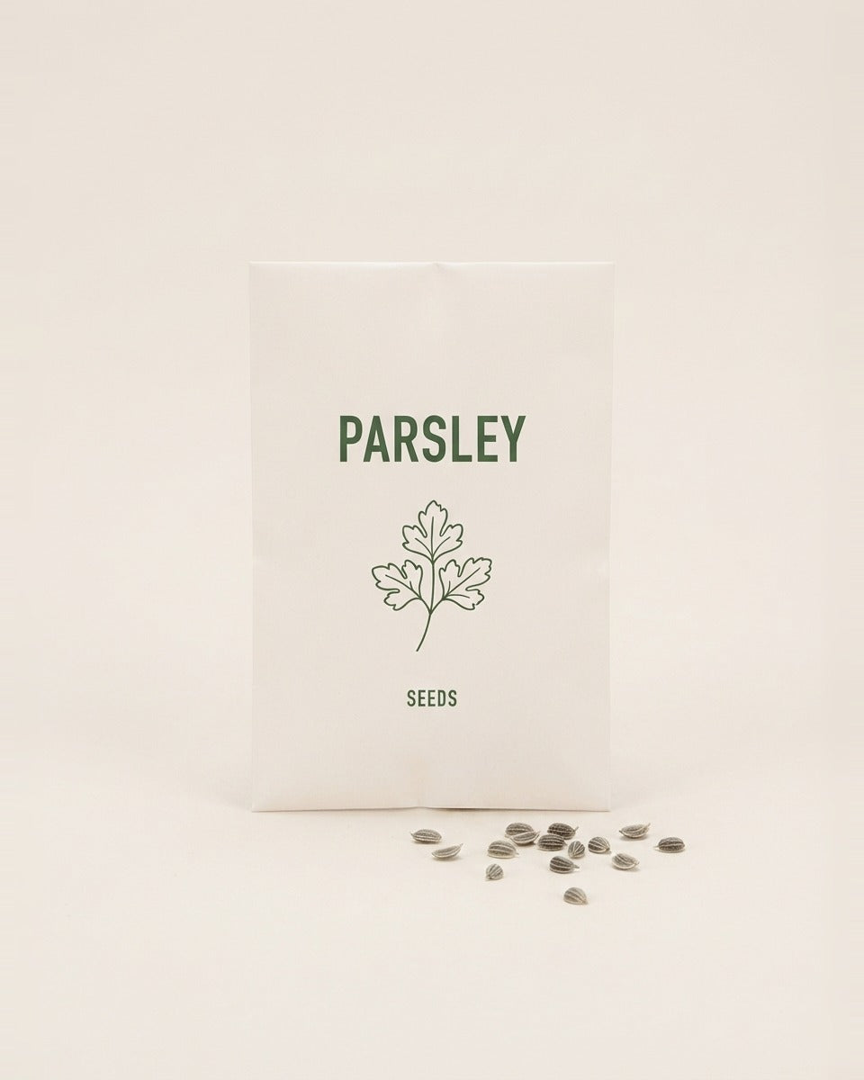 Parsley Seeds Turkish 20 g بقدونس تركي 20 غرام