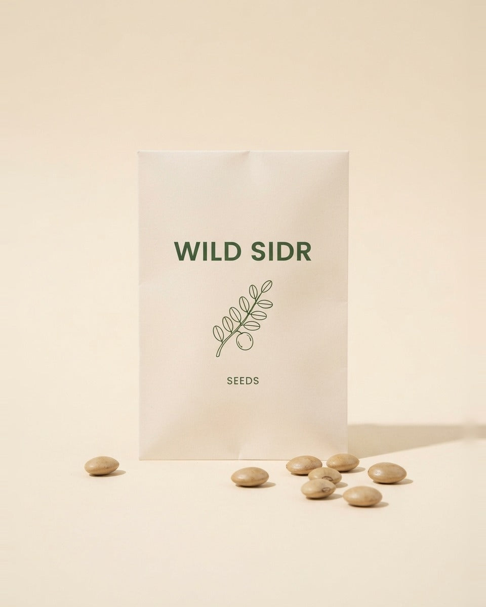 Wild Sidr Ziziphus Tree Seeds 20 Seeds شجرة السدر البري (20 بذرة)
