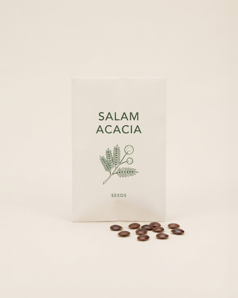 Salam Acacia ehrenbergiana Tree Seeds 25 Seeds بذور شجرة السلم (25 بذرة)
