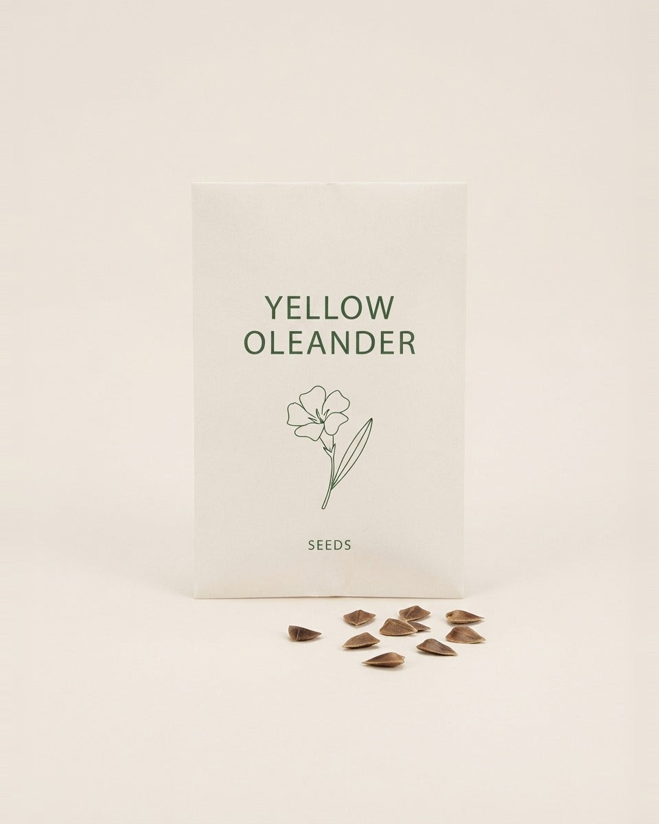 Thevetia Yellow Oleander Seeds 10 Seeds بذور التيفيتيا (10 بذرات)