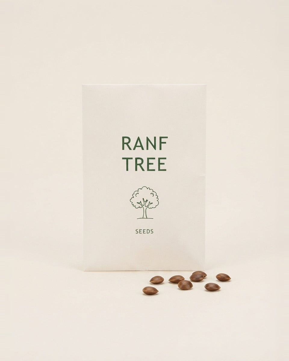 Rare Ranf Tree Seeds 10 Seeds شجرة الرنف النادرة (10 بذرات)