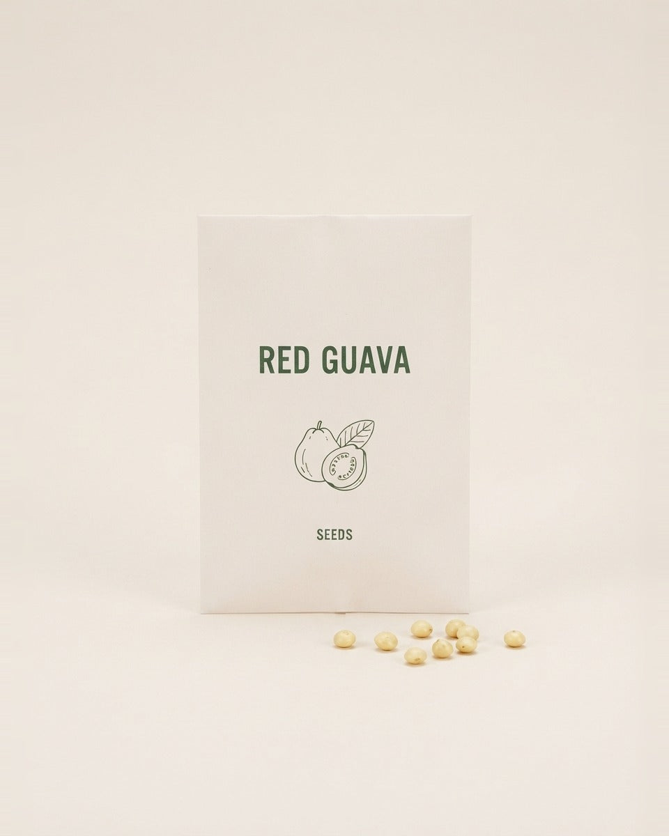 Red Guava Seeds 15 Seeds بذور الجوافة الحمراء (15 بذرة)