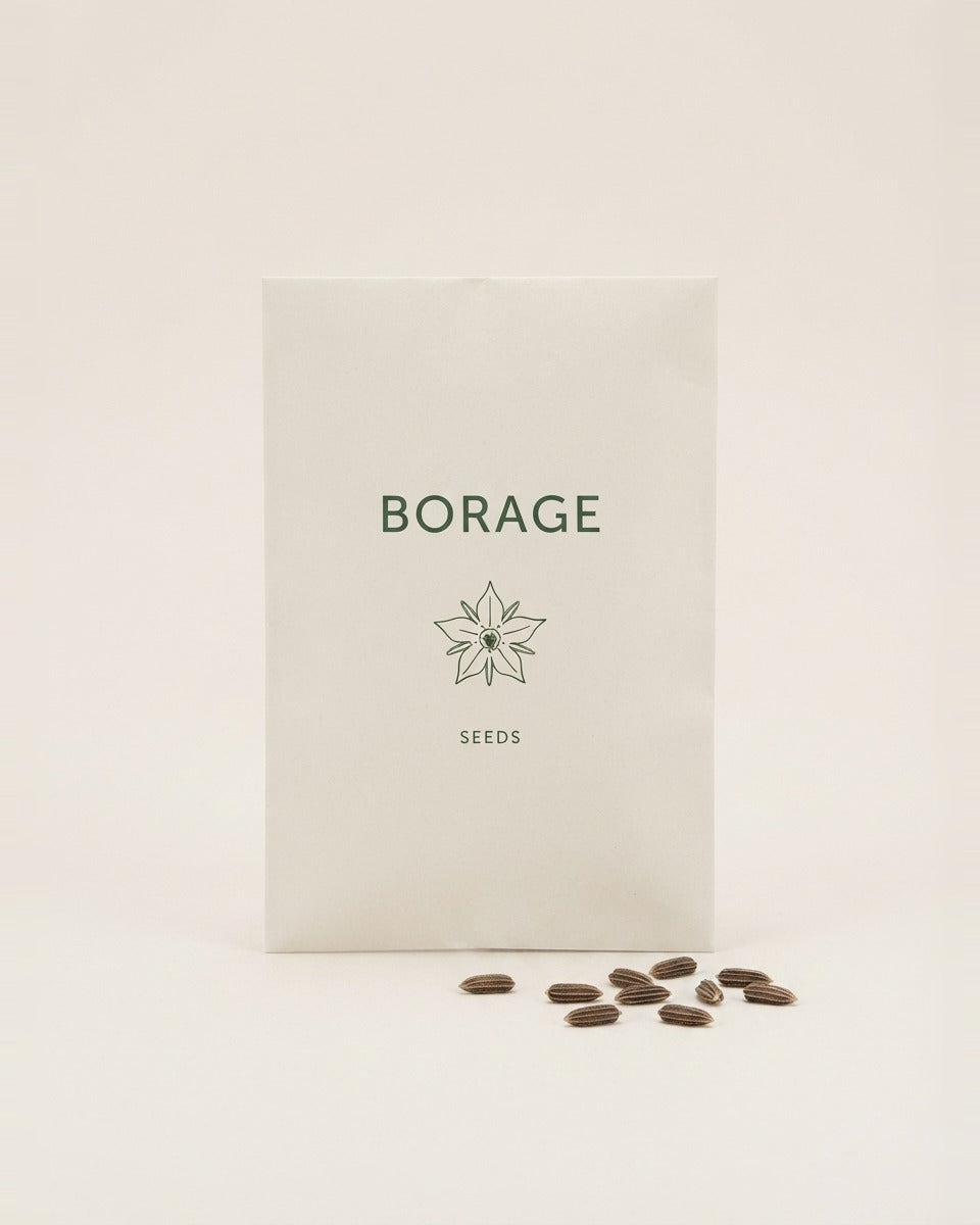 Purple Borage Bee Bread Seeds 25 Seeds بوراج بنفسجي – خبز النحل (25 بذرة)