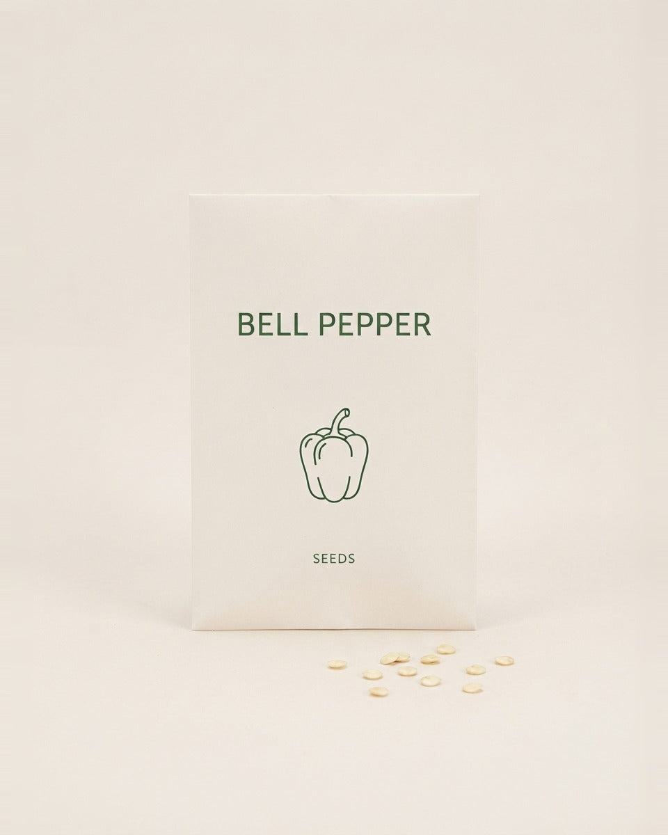 Sweet Bell Pepper Seeds Yolo Wonder 3 g (3 غرام) Yolo Wonder فلفل بارد امريكي