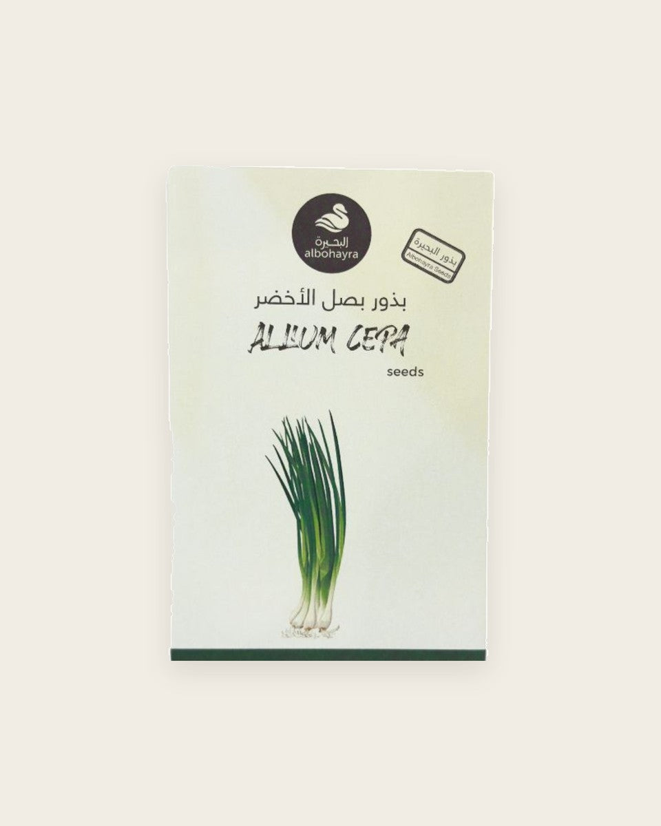 Allium Cepa Seeds بذور بصل اخضر