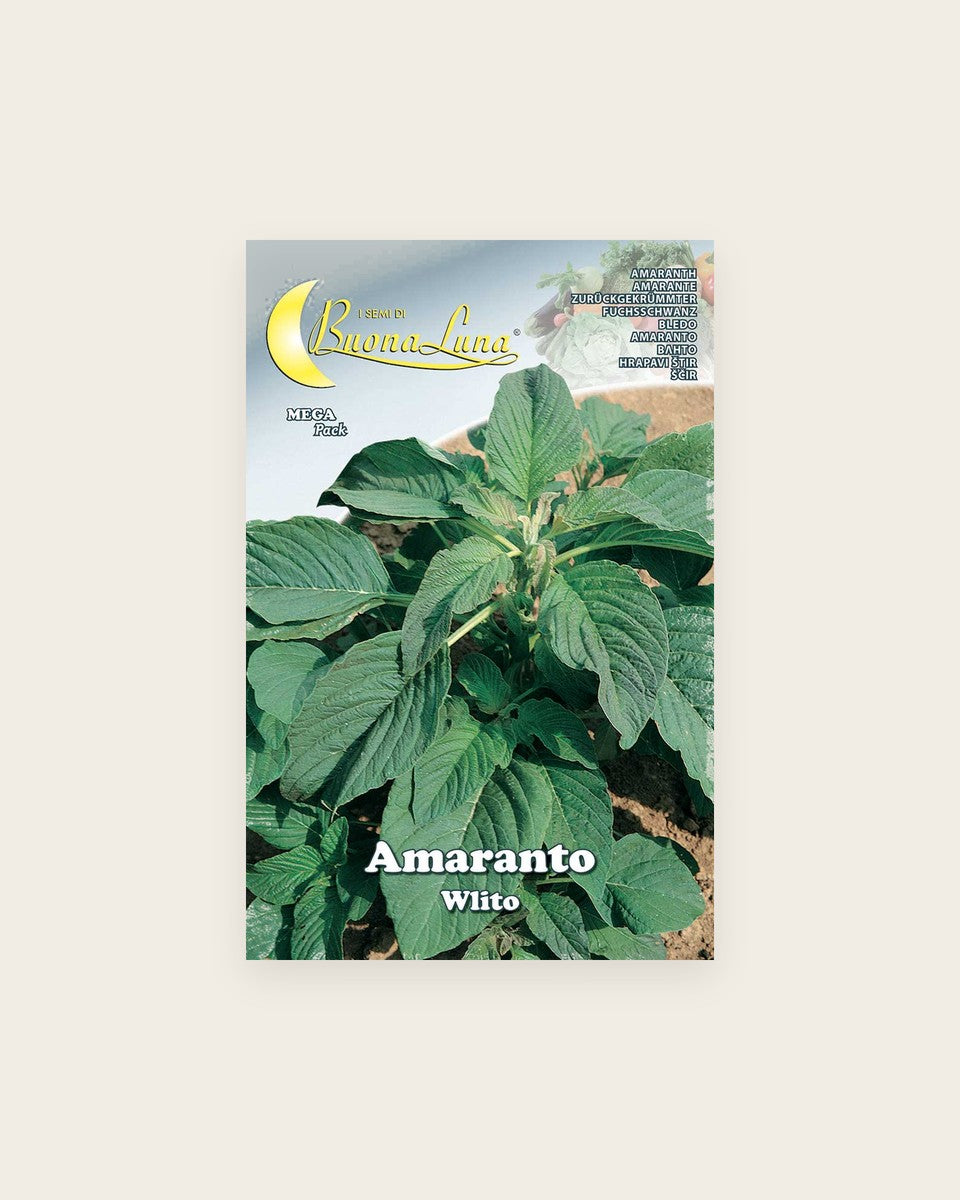 Amaranth (Grain Amaranth) Seeds الأمارانت (حبوب الأمارانت)