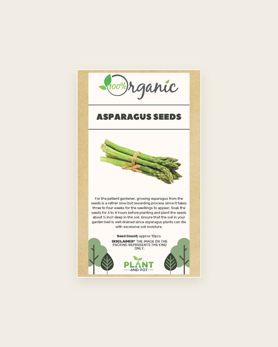 Asparagus Seeds بذور الهليون